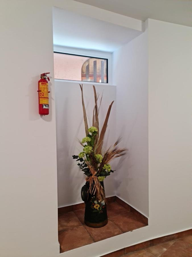 Apartamento Ca la Quima La Seu d'Urgell Exterior foto